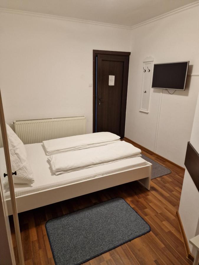 Pensiunea Terra Pacalesti Экстерьер фото